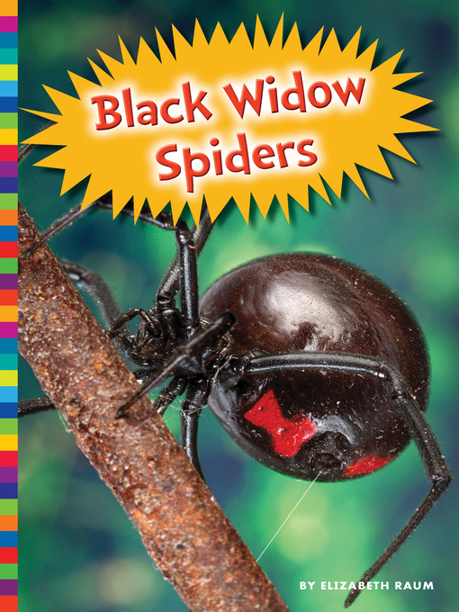 Title details for Black Widow Spiders by Elizabeth Raum - Available